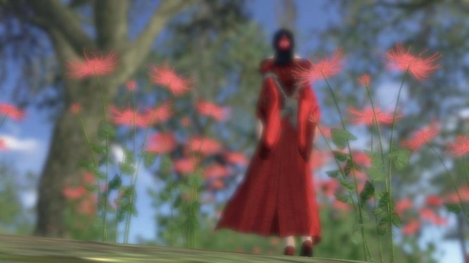 你为什么选择了flutter？